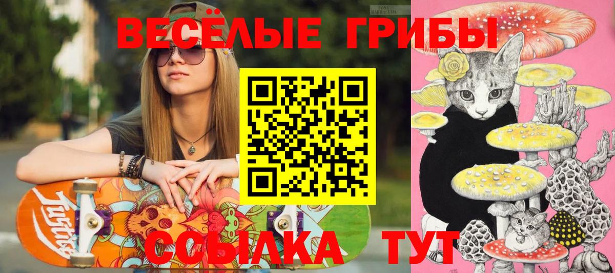 Псилоцибиновые грибы GOLDEN TEACHER Качканар