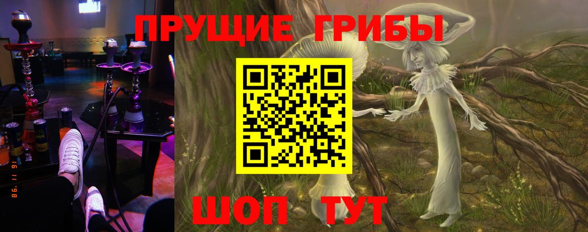 Качканар  Галлюциногенные грибы Cubensis  Вход с VPN  Галлюциногенные грибы GOLDEN TEACHER 